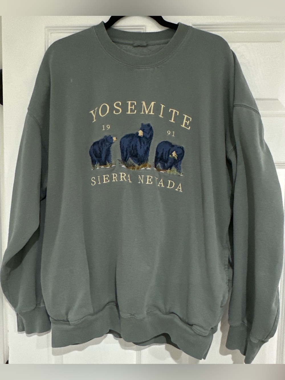 Pacsun John Galt Yosemite Sierra Nevada Crewneck Sweater - green/gray